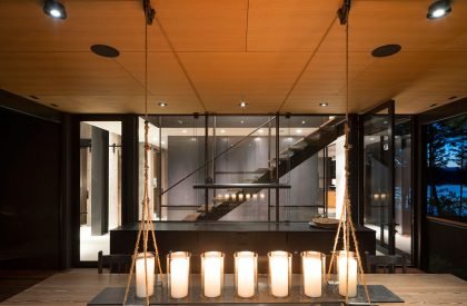 Dragon Fly | Olson Kundig