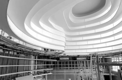 2022 Golong Wormhole | Pines Arch