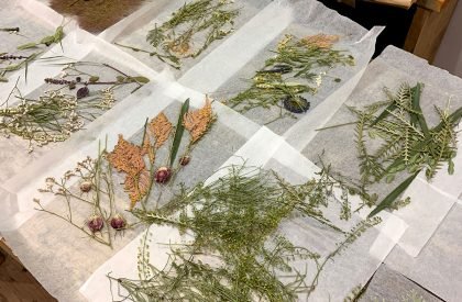 Ground Floor Office | Takayuki Kuzushima and Associates