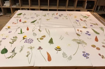 Ground Floor Office | Takayuki Kuzushima and Associates