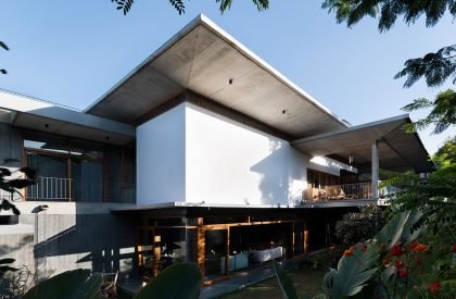 House of Canopies | Studio Motley