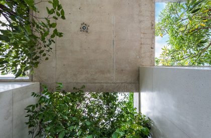 Stacked Planters House | VTN Architects