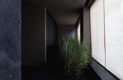 Teahouse in Chengdu | Scene Architects