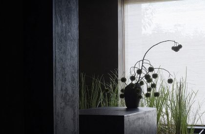 Teahouse in Chengdu | Scene Architects