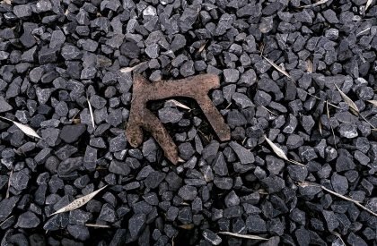 Teahouse in Chengdu | Scene Architects