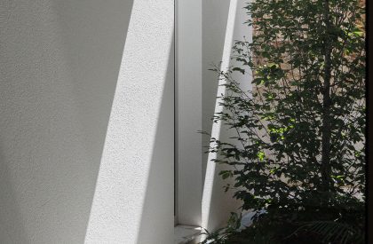 Casa Forte | Pema Studio