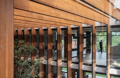 Casa Patios | Ricardo Yslas Gamez Arquitectos
