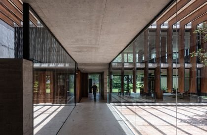 Casa Patios | Ricardo Yslas Gamez Arquitectos