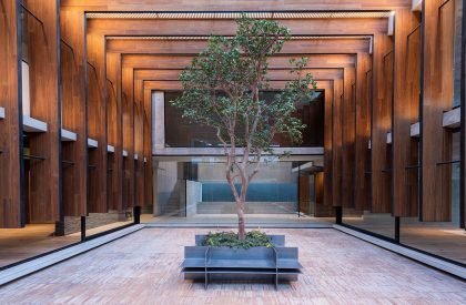 Casa Patios | Ricardo Yslas Gamez Arquitectos