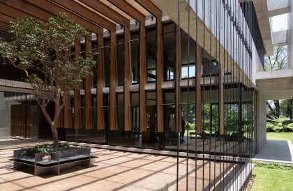 Casa Patios | Ricardo Yslas Gamez Arquitectos