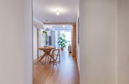 Flow House | Laura Ortin Arquitectura