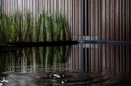 Mr.Green’s Office | MIA Design Studio