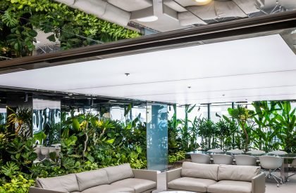 Mr.Green’s Office | MIA Design Studio