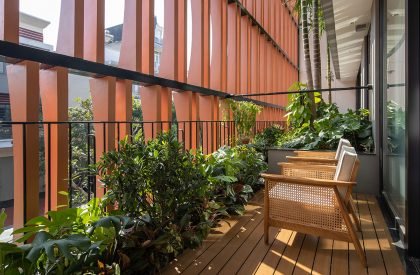 Tropical House 1 | ARO studio