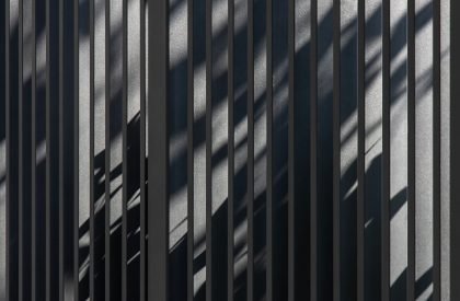 Tropical House 1 | ARO studio