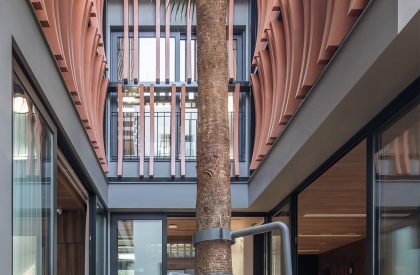 Tropical House 1 | ARO studio