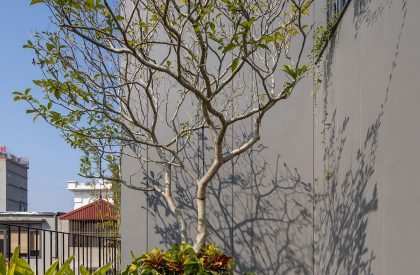 Tropical House 1 | ARO studio