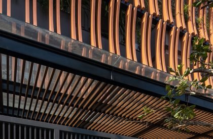 Tropical House 1 | ARO studio