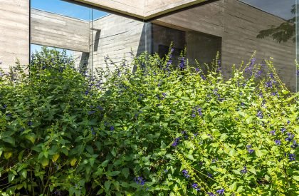 Pilara House | Besonías Almeida arquitectos