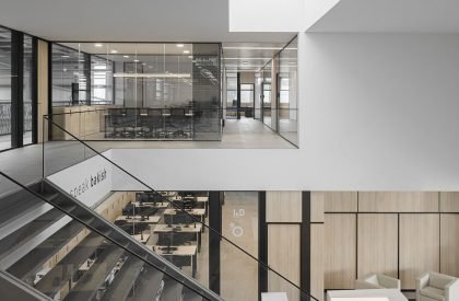 Ferneto SA | Rómulo Neto Architects