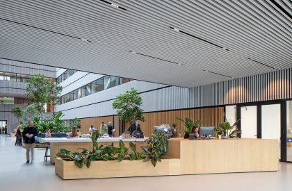 Matrix ONE | MVRDV
