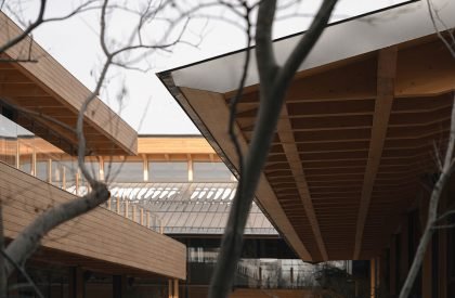 Pulo Market | a9a rchitects