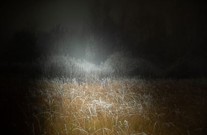 Vanke Wonderland City Villa