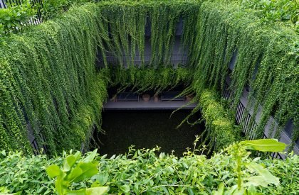 Wyndham Clubhouse | MIA Design Studio