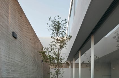 House to see the sky | COTAPAREDES Arquitectos