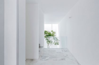 The Cave | COTAPAREDES Arquitectos