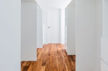 The Cave | COTAPAREDES Arquitectos