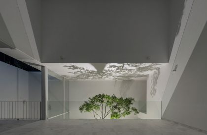 The Cave | COTAPAREDES Arquitectos