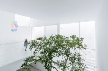 The Cave | COTAPAREDES Arquitectos
