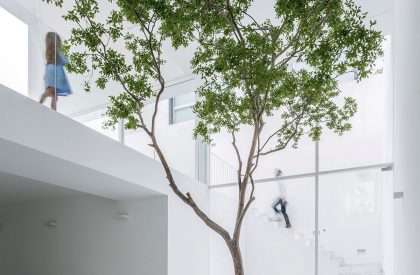 The Cave | COTAPAREDES Arquitectos