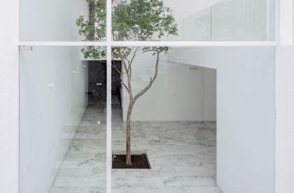 The Cave | COTAPAREDES Arquitectos