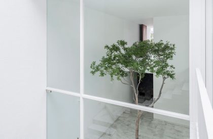 The Cave | COTAPAREDES Arquitectos