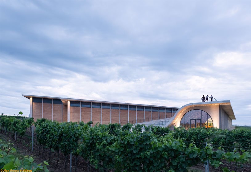 Lahofer Winery | CHYBIK + KRISTOF