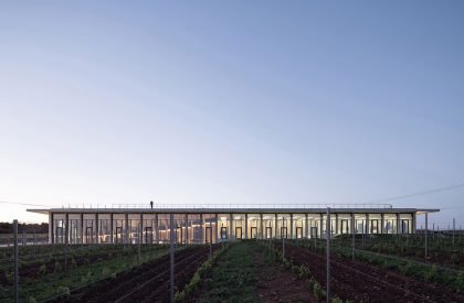 Lahofer Winery | CHYBIK + KRISTOF