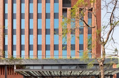 Max House | Studio Lotus