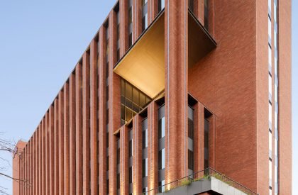 Max House | Studio Lotus