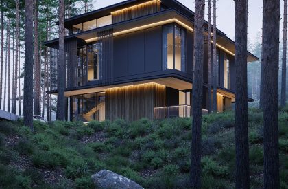 Three Elements | Kerimov Architects