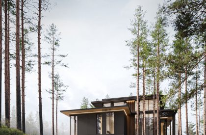Three Elements | Kerimov Architects
