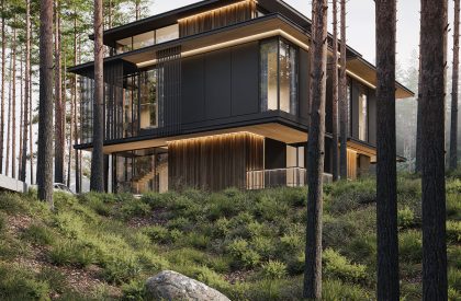 Three Elements | Kerimov Architects