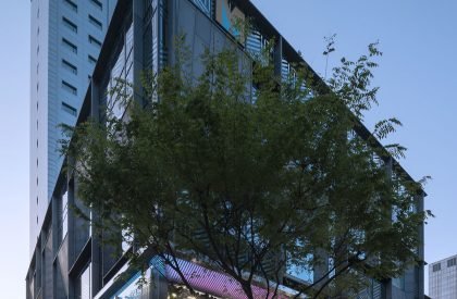 A Home of Sport - Adidas Asia Pacific Flagship | Various Associates