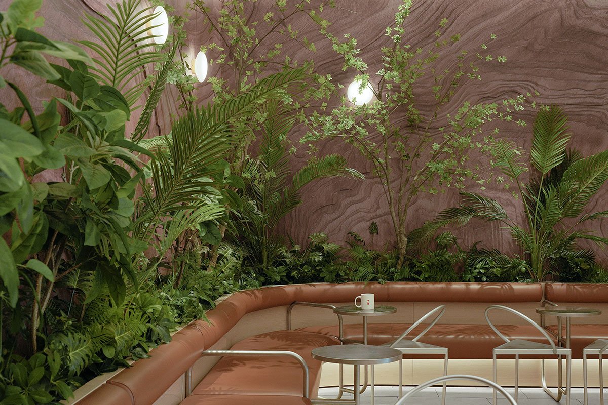 Algebraist coffee Star World Store | Still Young