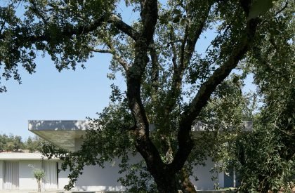 Fanu House | Bruno Dias Arquitectura