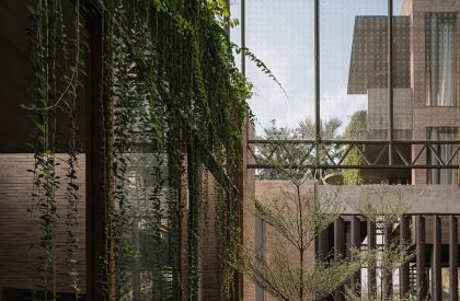 Jungalow 2 | Neogenesis + Studio261