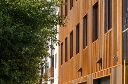 Mississippi Workshop | Waechter Architecture