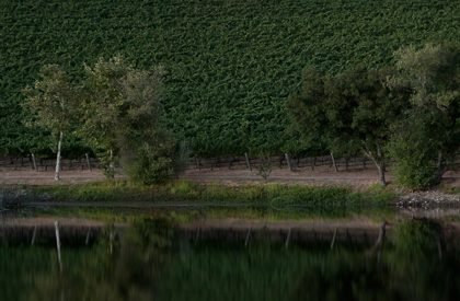 Quintessa Pavilions | Walker Warner Architects