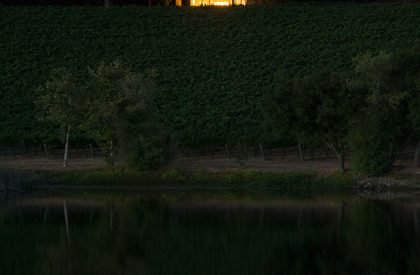 Quintessa Pavilions | Walker Warner Architects